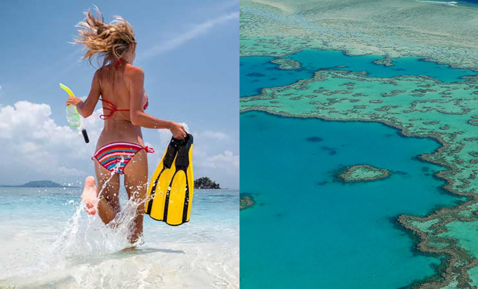 Heart Reef Scenic Flight combo